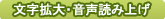 文字拡大・音声読み上げ